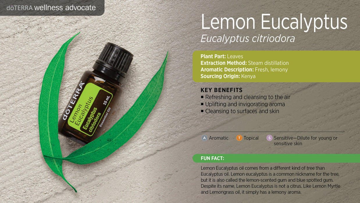 Етерично масло от Лимонов евкалипт/Lemon Eucalyptus doTERRA 15 мл